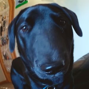 Meet your Posher, Caleb